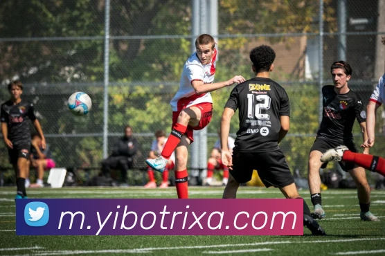 App Interface Preview